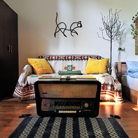 Small Apartment - Historic House Kaloşvar Dış mekan fotoğraf